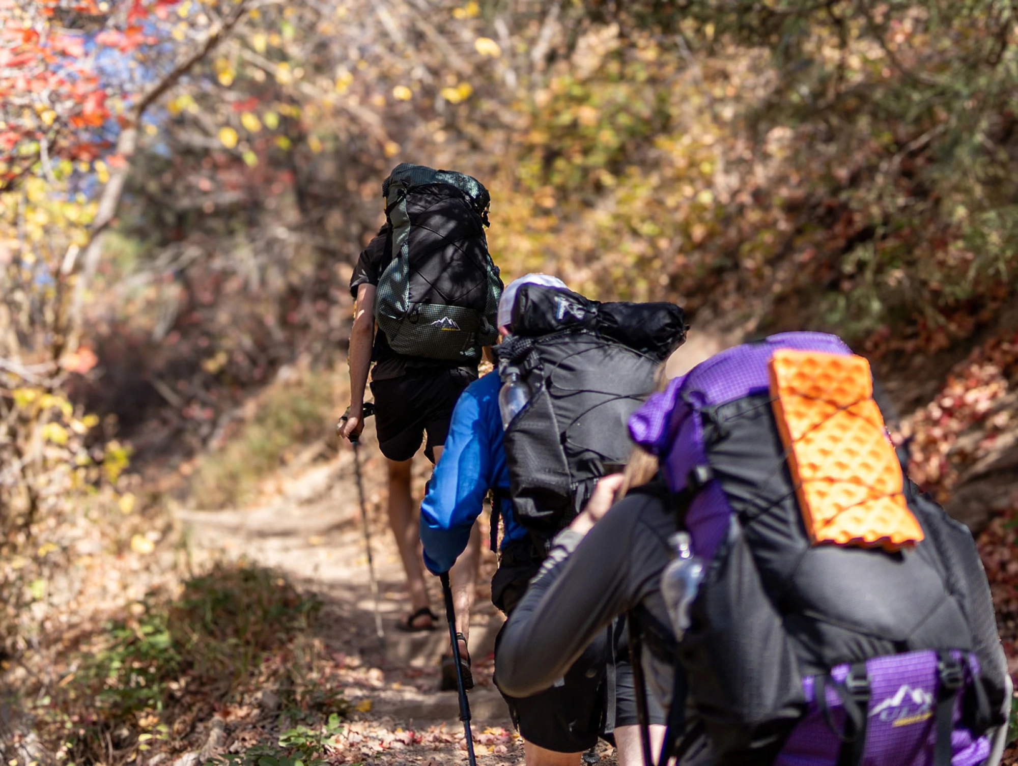 ADVENTURE STARTS HERE.