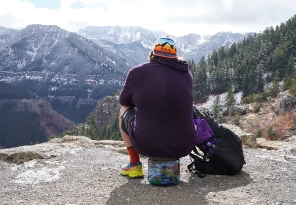 BearVaultChair