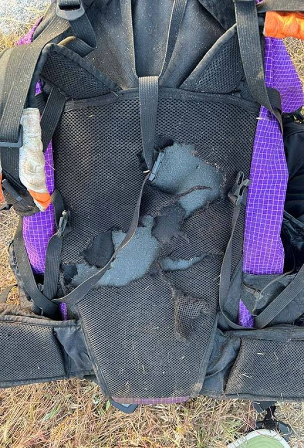 BEARS LOVE OUR PACKS TOO!