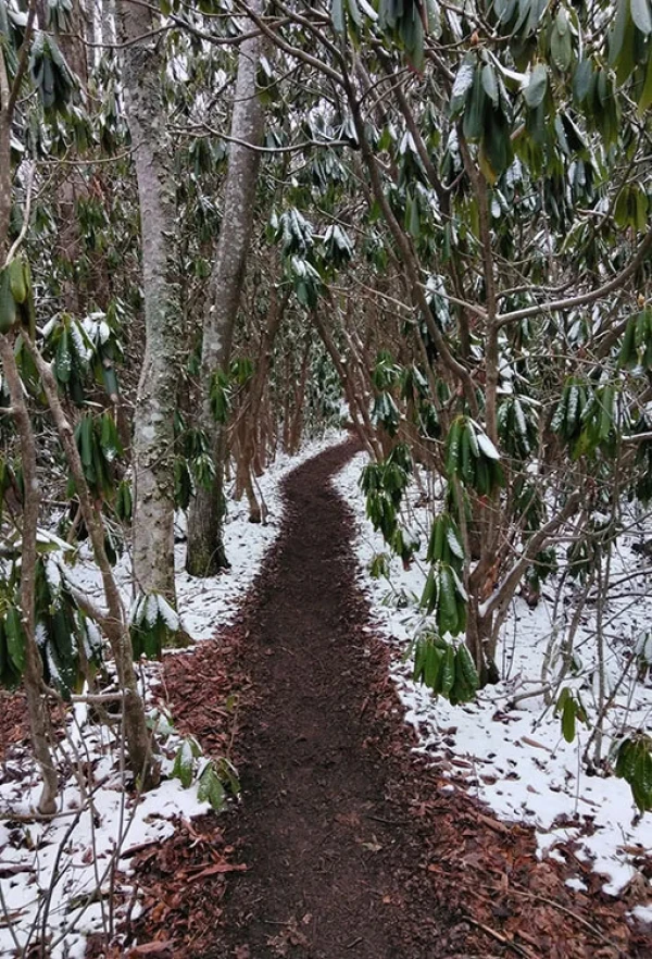 APRIL IN THE SMOKIES