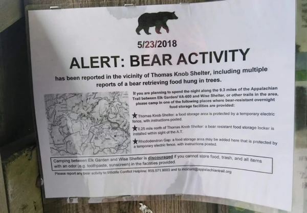 DON’T FEED THE BEARS