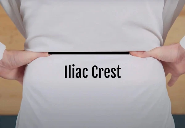 REST ON THOSE HIPS FOR THE ILIAC CREST